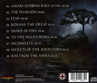 Enigma Fire