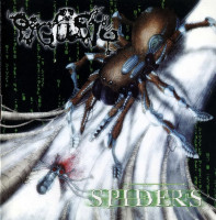 Spiders