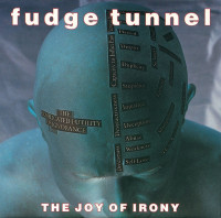 The Joy of Irony