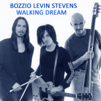 Walking Dream