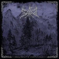 Misty Breath of Ancient Forests
