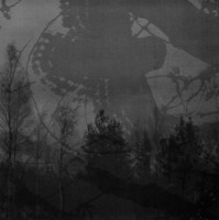 Inmitten des Waldes / Mortualia