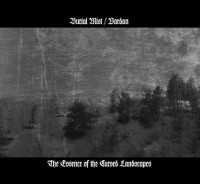 The Essence of the Cursed Landscapes