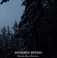 Olabezarko Basoen Bakardadea