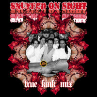 Slippin (SOS True Kink Mix)