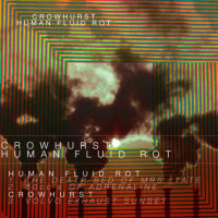 Human Fluid Rot / Crowhurst
