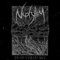 Dust Veiled Sky