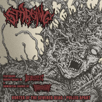 Vortex of the Severed Dead / Pulled Apart
