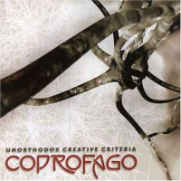 Unorthodox Creative Criteria