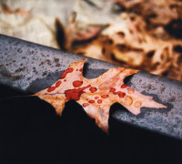 Broken Promise