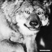 Bodhidharma