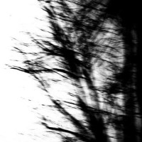 Asthenia / Wither
