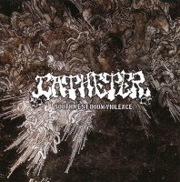 Southwest Doom Violence