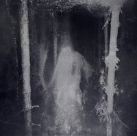 Enshrouded by the Veil of Night