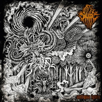 Antiqua Ignis