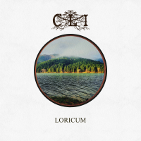 Loricum