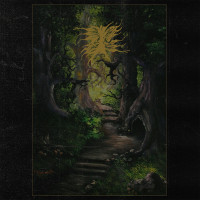 The Green Enchanted Forest of the Druid Wizard