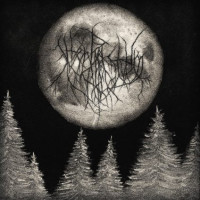 Forest of Forgotten Souls