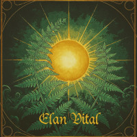 Élan Vital