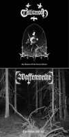 My Illusion of an Eternal Winter / Ein Sturm zieht auf...