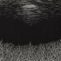 The Slow Dying of the Great Barrier Reef