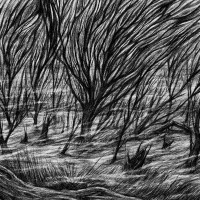 The Eternal Marshes