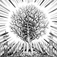 Album cover for Ain-Soph Aur