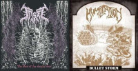Bullet Storm / The Blood of the Disaster Dead