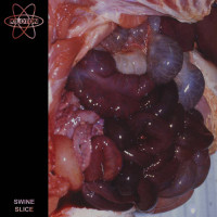 Swine Slice