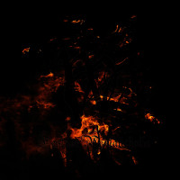 Festum Melancholia