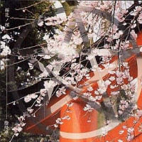 桜花ノ理