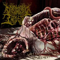 Wretched Abdoment Replacement
