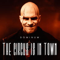 The Circus Is in Town