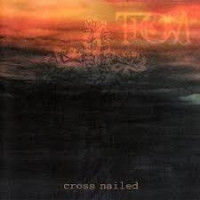 Cross Nailed