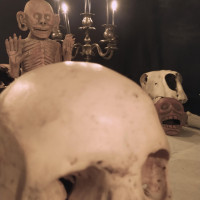 Dragged Fears & Drowned Bones