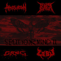 Split Your Mind II