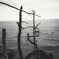 Ritual: Solitude