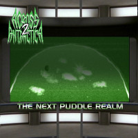2: The Next Puddle Realm