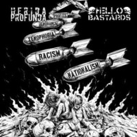 Herida Profunda/Hello Bastards Split