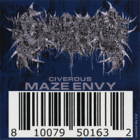 Maze Envy