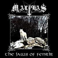 The Jaws of Fenrir
