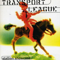 Stallion Showcase