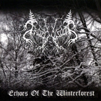 Echoes of the Winterforest