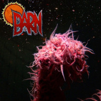 Barn