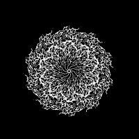 Seer