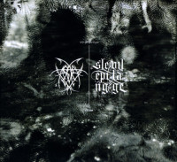 Information / Noise
