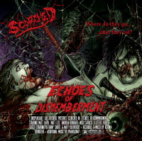 Echoes of Dismemberment