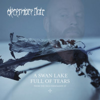 A Swan Lake Full of Tears