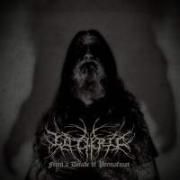 From a Decade of Permafrost