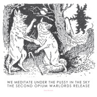We Meditate Under the Pussy in the Sky